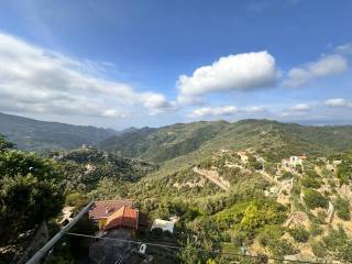 Vista