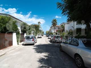 Zona