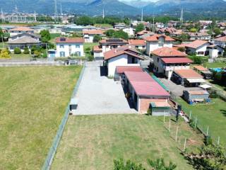 Vista