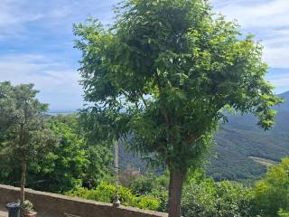 Vista