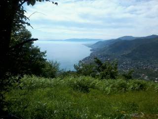 Vista