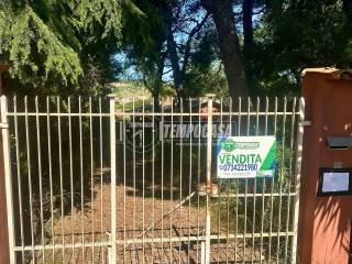 Zona
