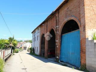 Zona