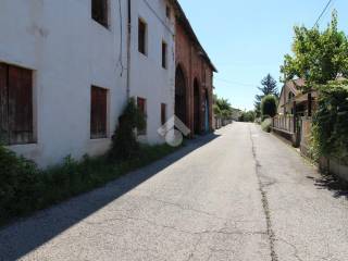 Zona