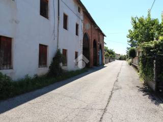 Zona