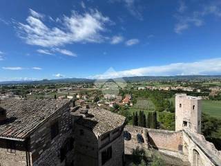 Vista