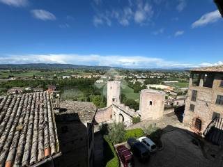 Vista