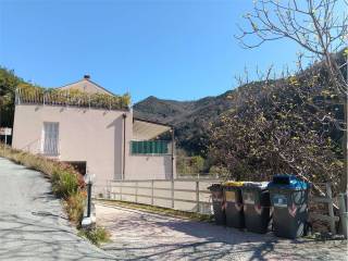 Zona