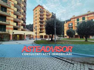Zona