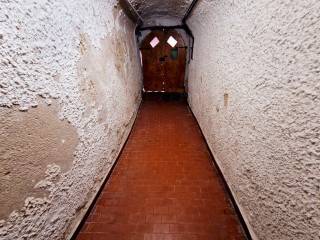 Cantina