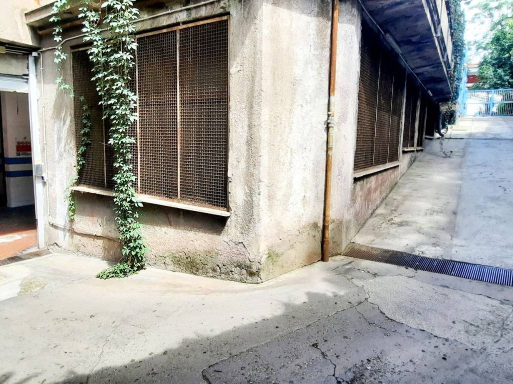 Zona