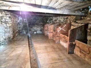 Cantina