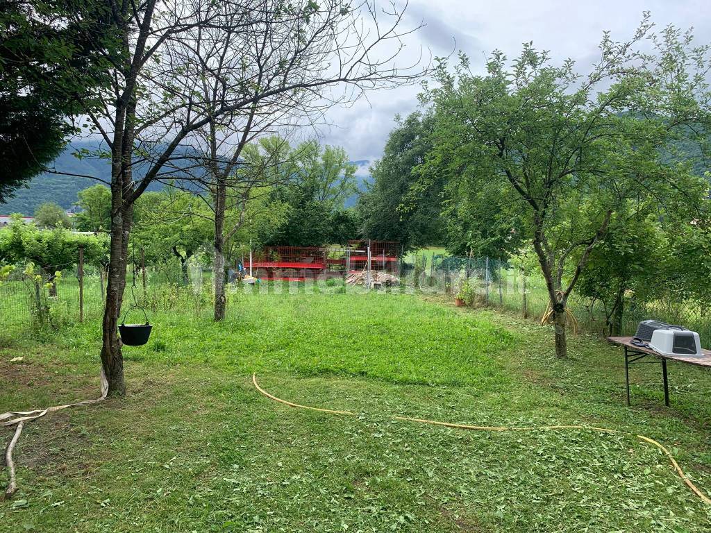 Terreno