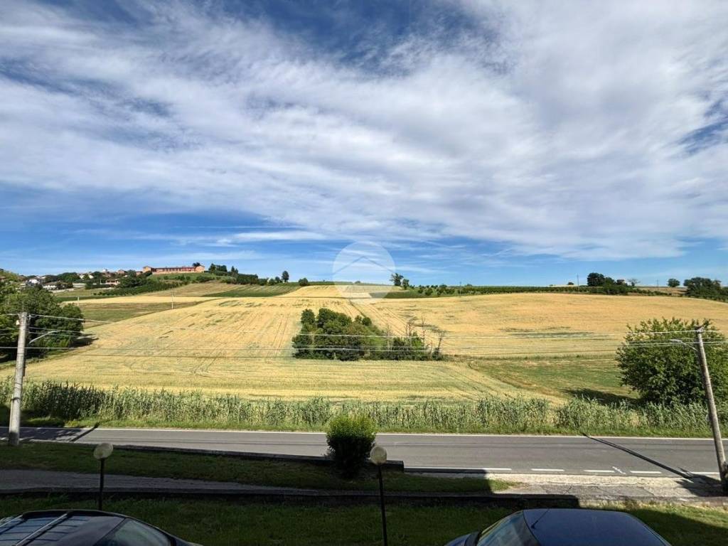Vista