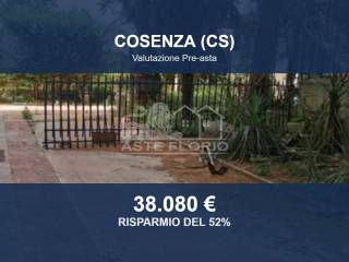 Zona