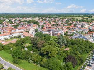 Vista