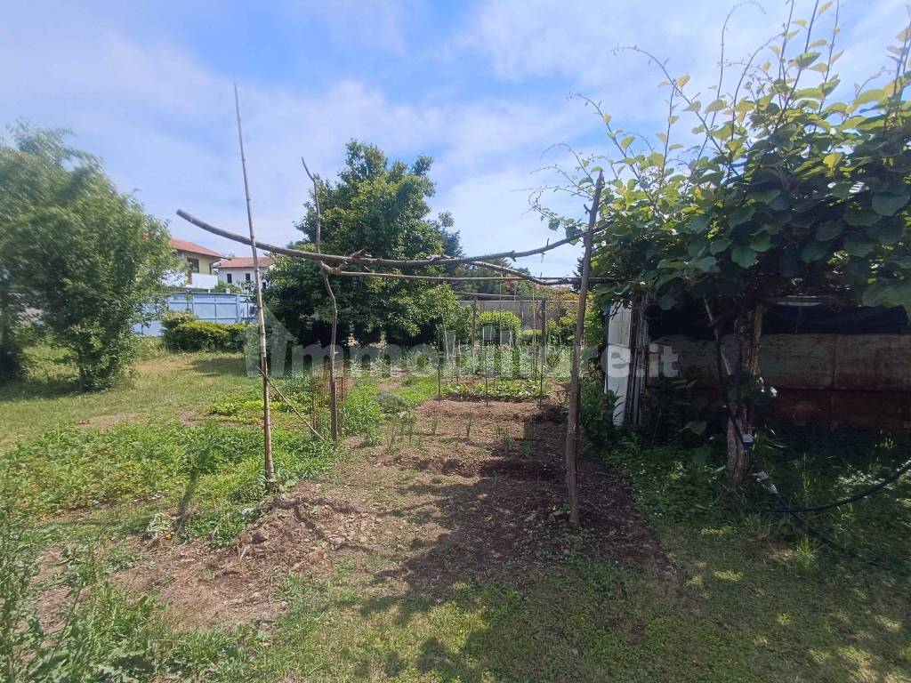 Terreno