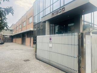 Ingresso