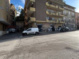 Zona
