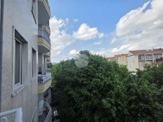 Vista