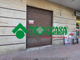 Zona