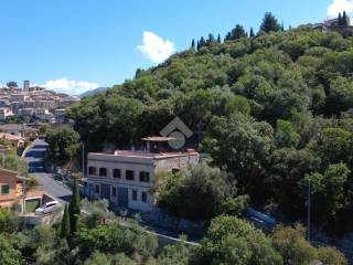 Vista