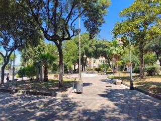 Zona