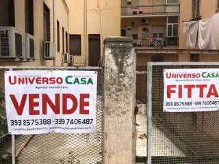 Zona