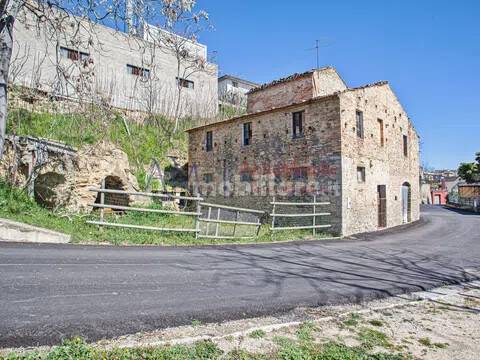 Zona