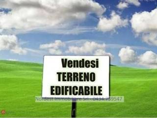 Zona