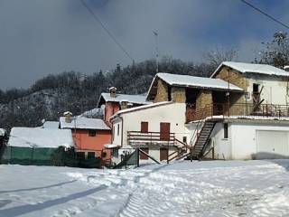 Zona