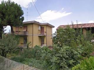 Zona