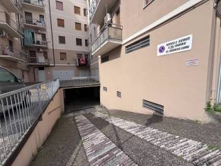 Zona