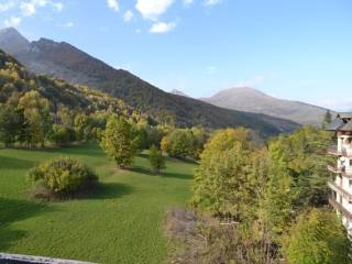 Vista