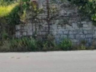 Zona