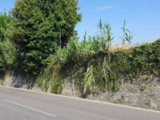 Zona