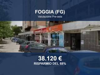 Zona