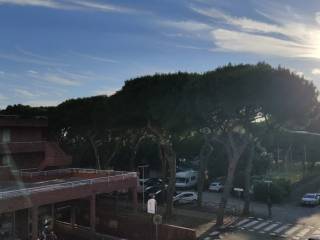 Vista