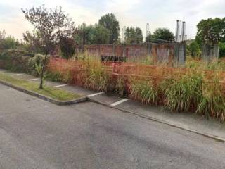 Zona