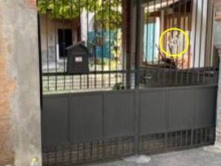 Ingresso