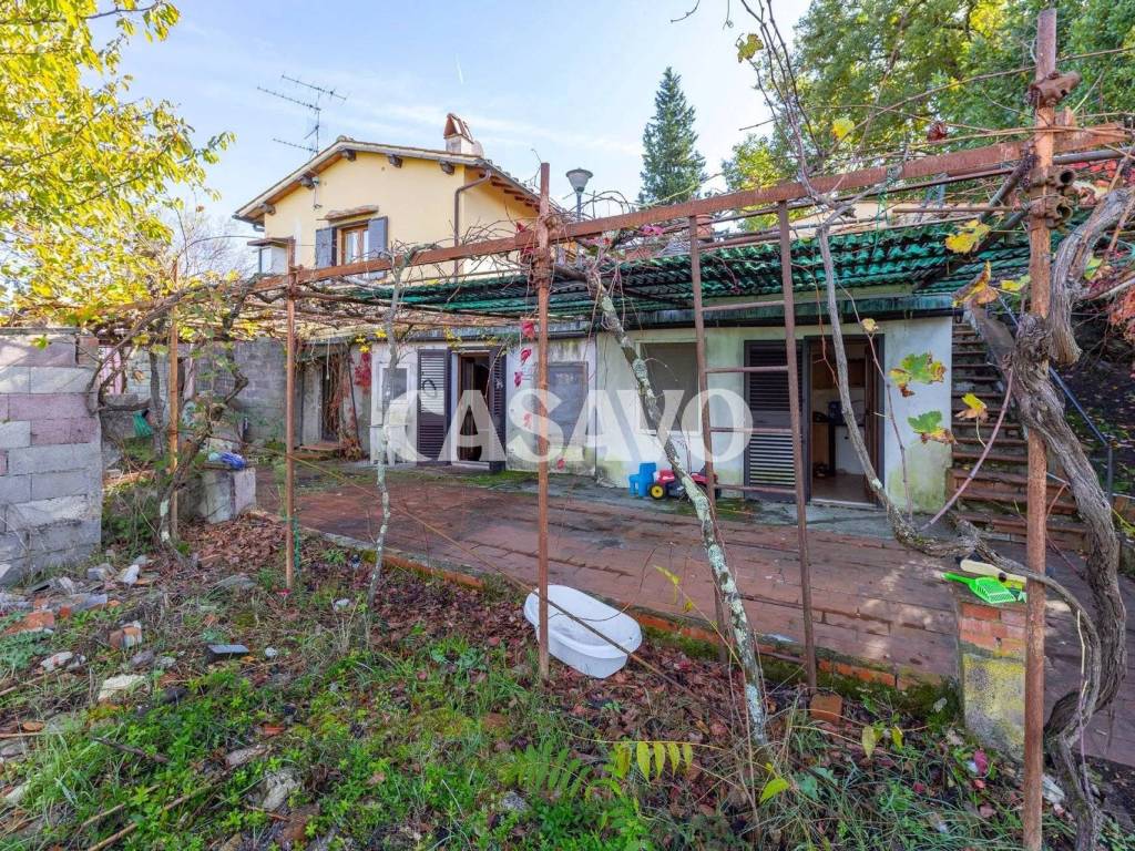 Giardino