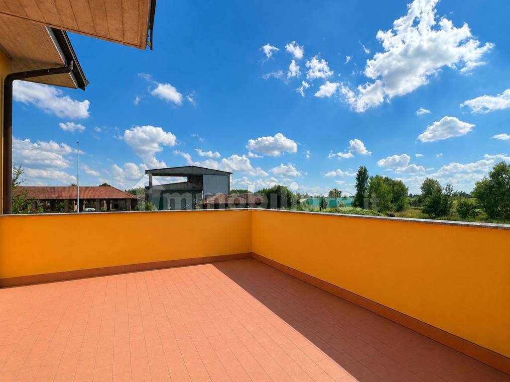 Terrazzo
