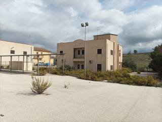 Zona