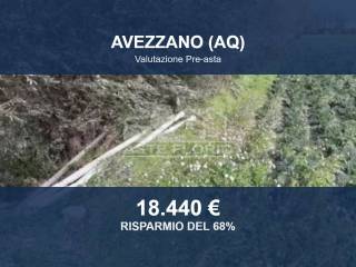 Zona