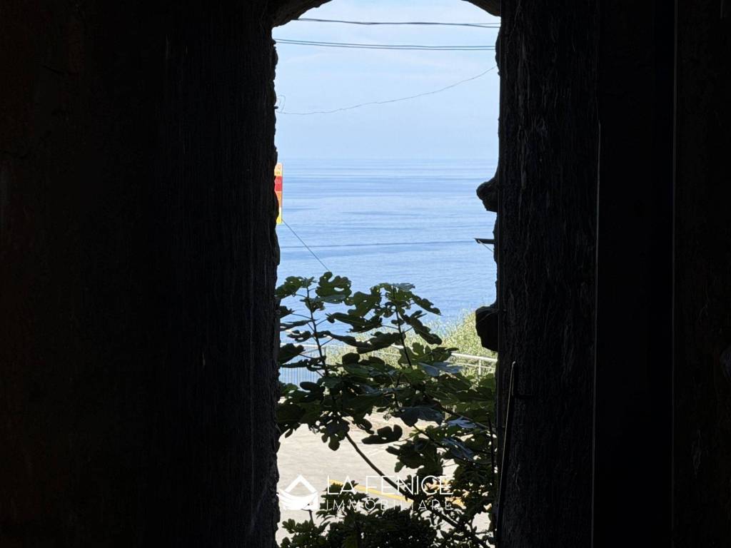 Vista