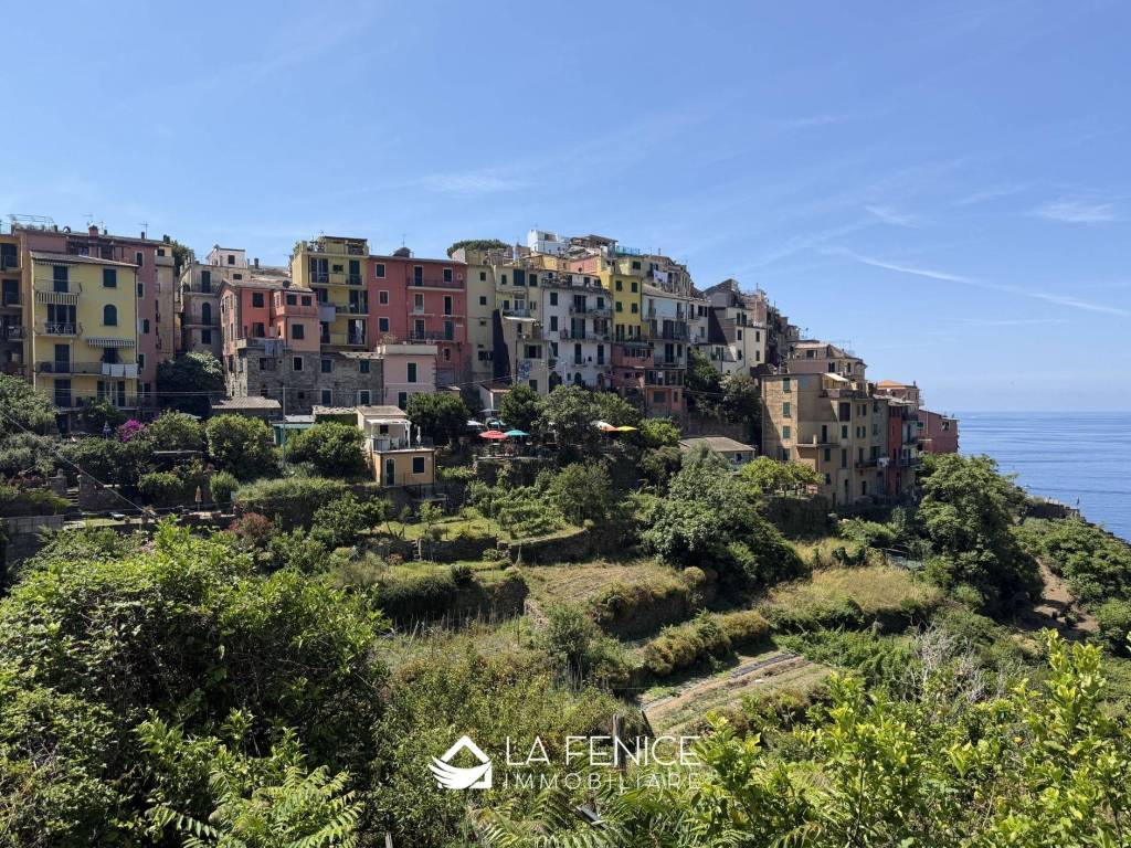Vista