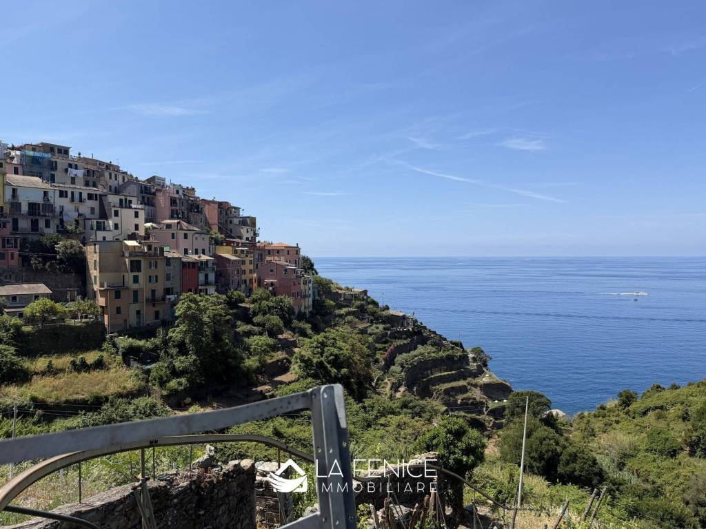 Vista
