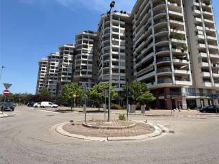 Zona