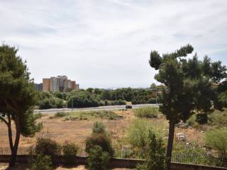 Vista