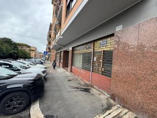 Zona